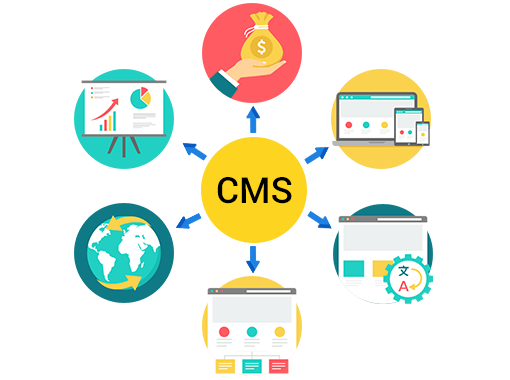 CMS Web Development Company In Delhi India