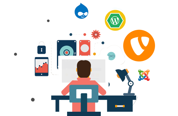 Wordpress Web Development Services In India