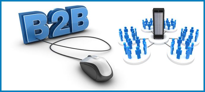 B2B Portal Development Company in Delhi