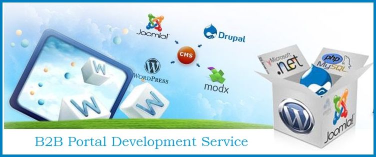 B2B Portal Development Services in India