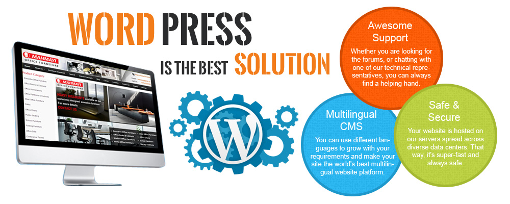 Wordpress Web Development Services In Delhi India