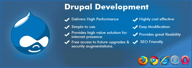 Drupal Web Development Service in Delhi