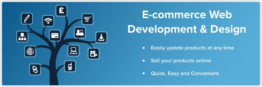 Ecommerce Website Designing Development In Delhi India