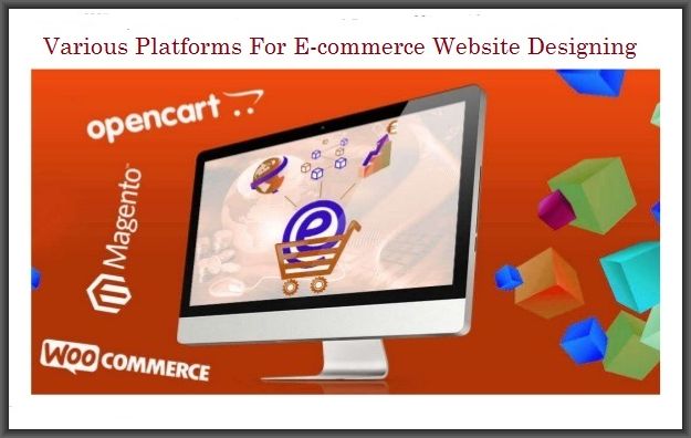 Ecommerce Website Designing Services in Delhi