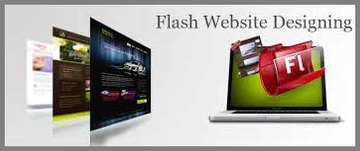 Flash Web Designing Company In Delhi India