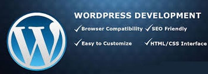Wordpress Website Development In Delhi India