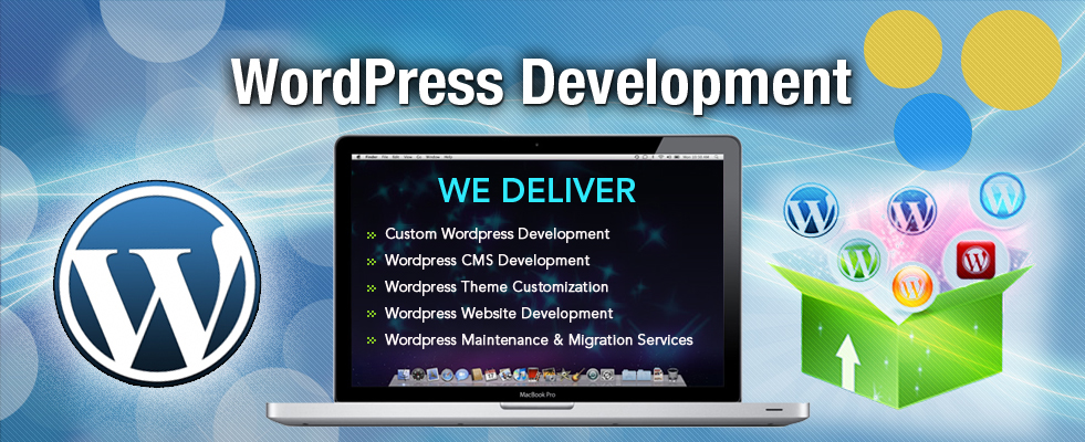 Wordpress Website Development Company In Delhi India