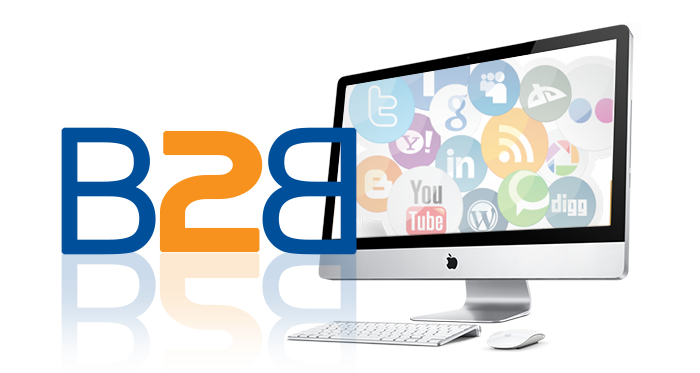 B2B Web Portal Development In India