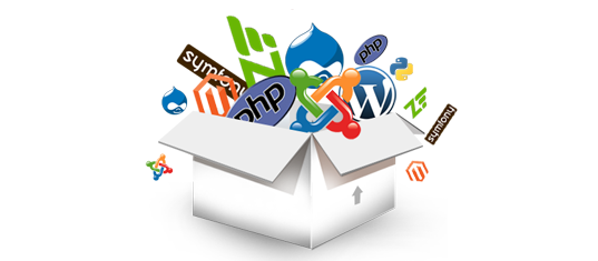 Custom Web Development Company In Delhi India