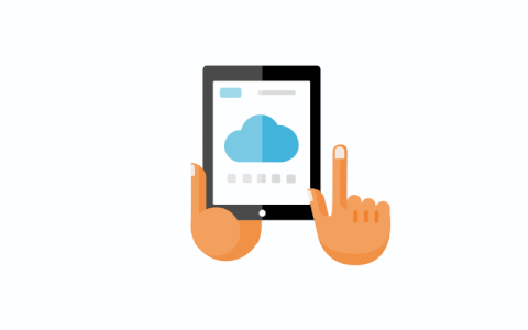 Flash Website Designing Company In Delhi