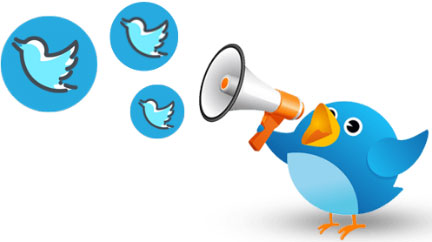 Twitter Promotion In India