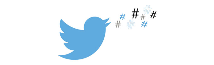 Twitter Promotion Services In Delhi