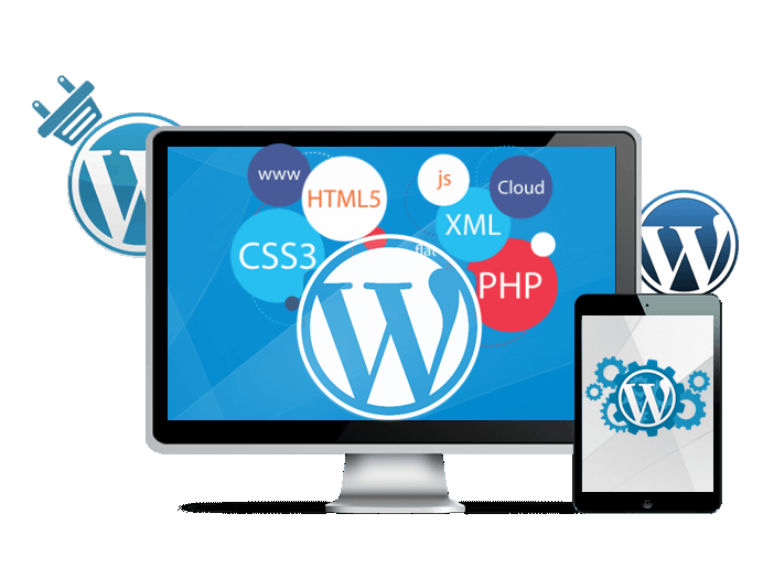 Wordpress Website Development Company In Delhi India
