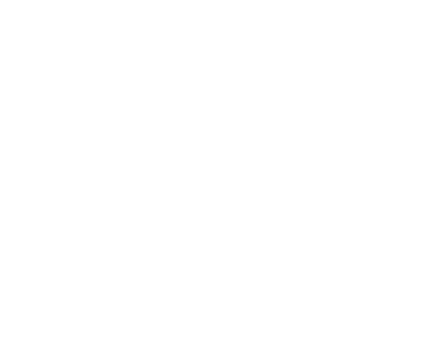 Top 5 SEO Company