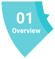 Company Overview